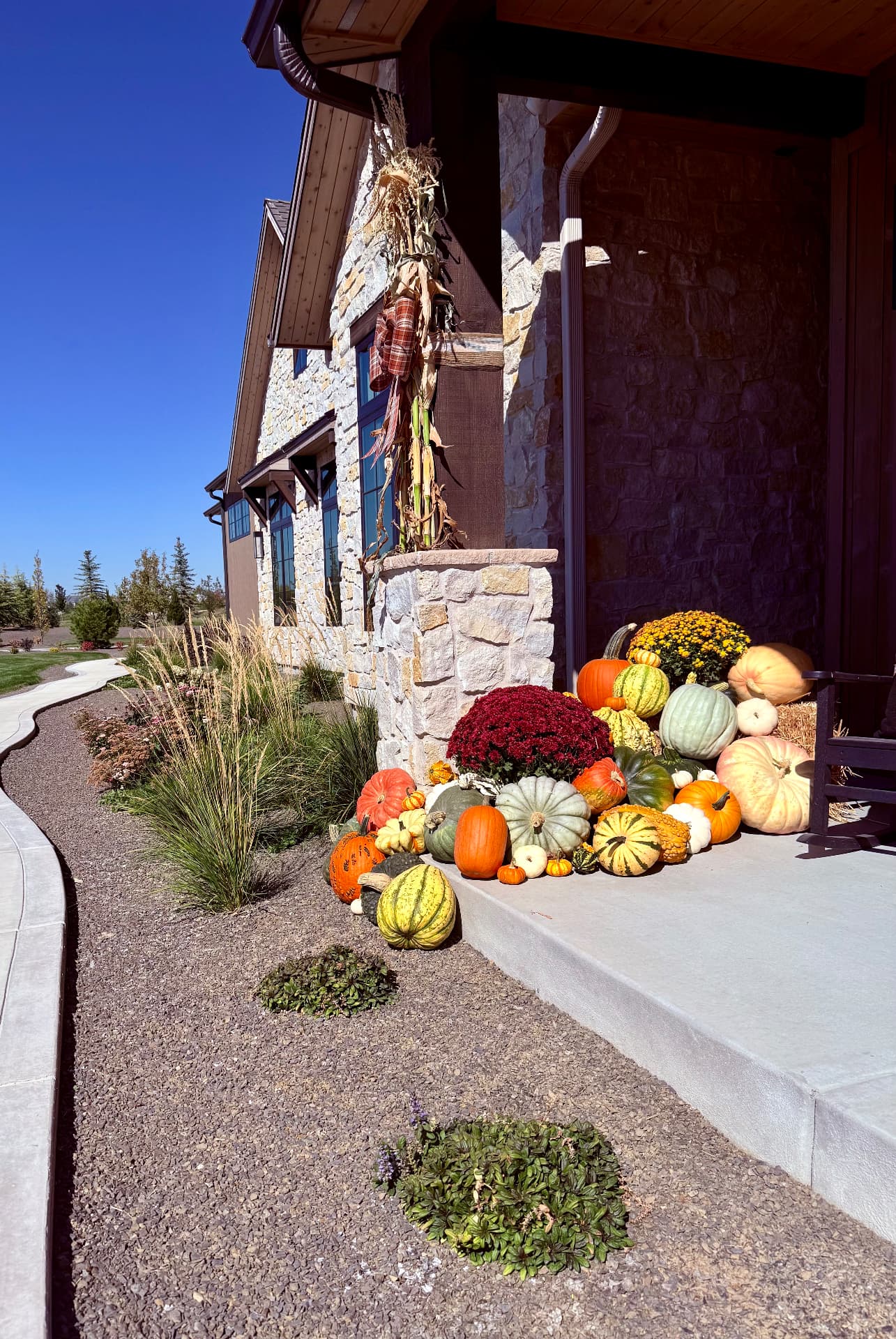 Designed pumpkin installation across a residential porch and stairs